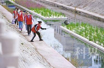<p> 银川市兴庆区银古路街道云和社区党委书记焦建莉(右一)带领社区工作人员和志愿者在银川市第二排水沟(新华东路至解放东路段)开展巡河工作。</p>