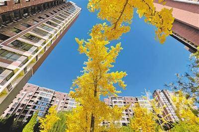 <p> 深秋时节,蔚蓝的天空下,优美的人居环境犹如一幅画卷。</p>