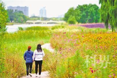 <p> 典农河畔百花盛开,绿意盎然。</p>