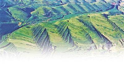 <p>　　作为山林权改革重点县，彭阳县已完成10个乡镇、50个行政村的林草地界定87.63万亩，为3个试点村集体林权确权颁证。　　　　　　</p>