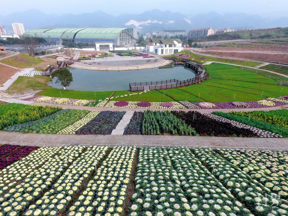 走进重庆市农科院都市农业研发中心基地体验趣味农学