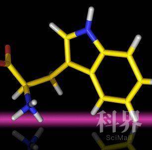 色氨酸：一位科学家说，这种氨基酸的轻微“扭动”就可能意味着其他星球上的生命会以不同方式进化。