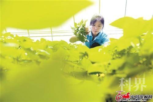 res07_attpic_brief (1).jpg