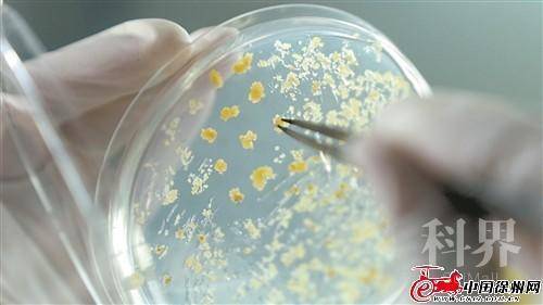 res10_attpic_brief (1).jpg