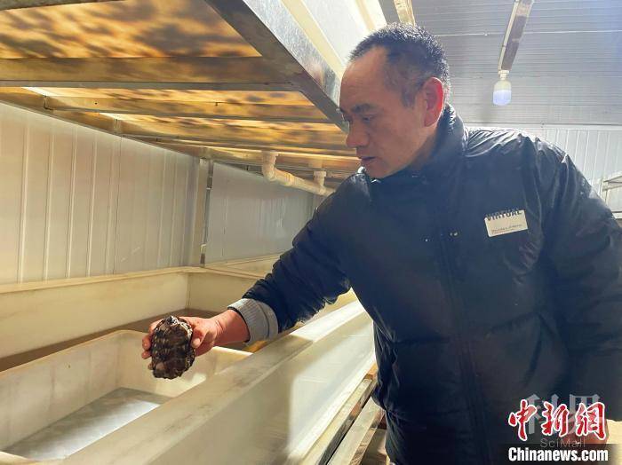 赵国良深耕龟鳖特种养殖，带动更多农户参与。
