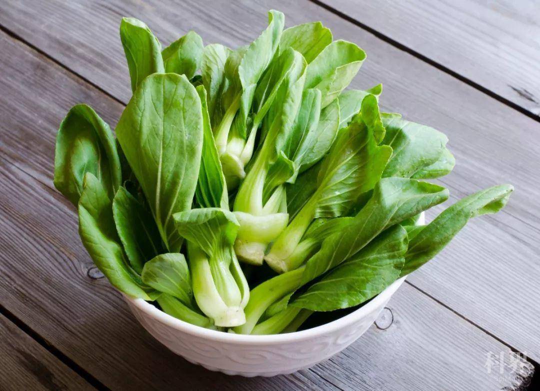 食疗养肝护肝多吃7种蔬菜关键还便宜有你爱吃的吗