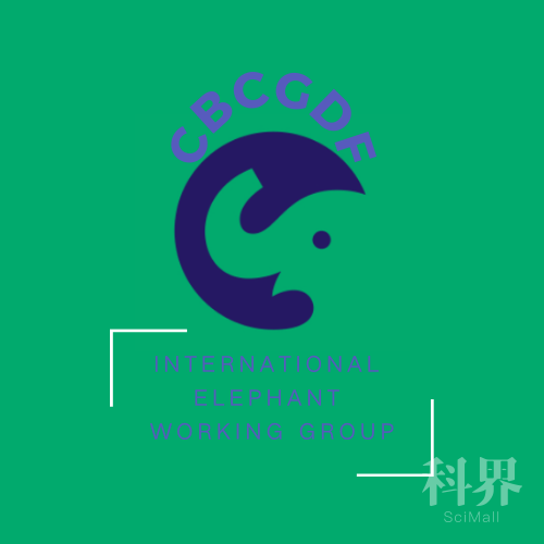 大象logo.png
