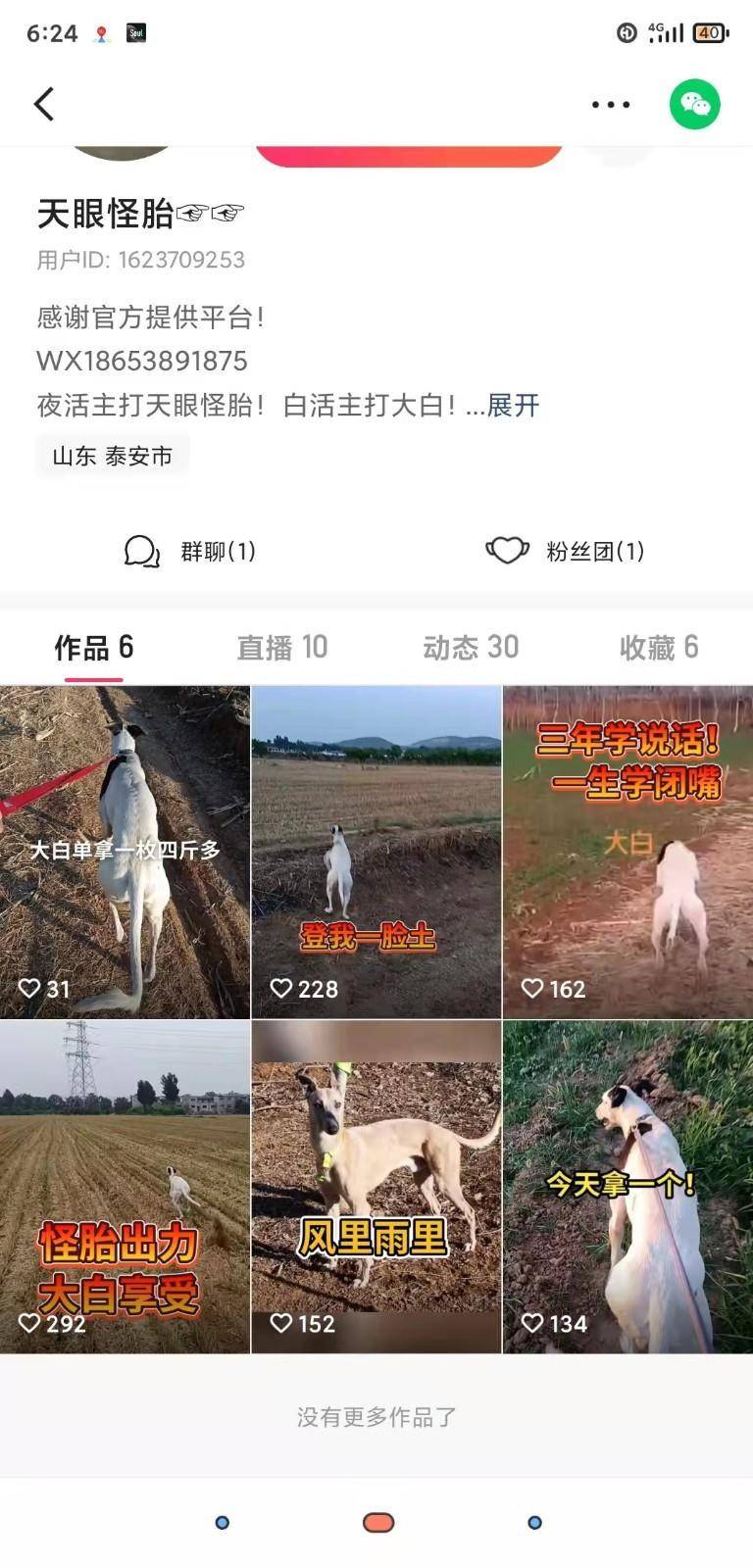 赌狗捕野兔快手图片8(1).jpg