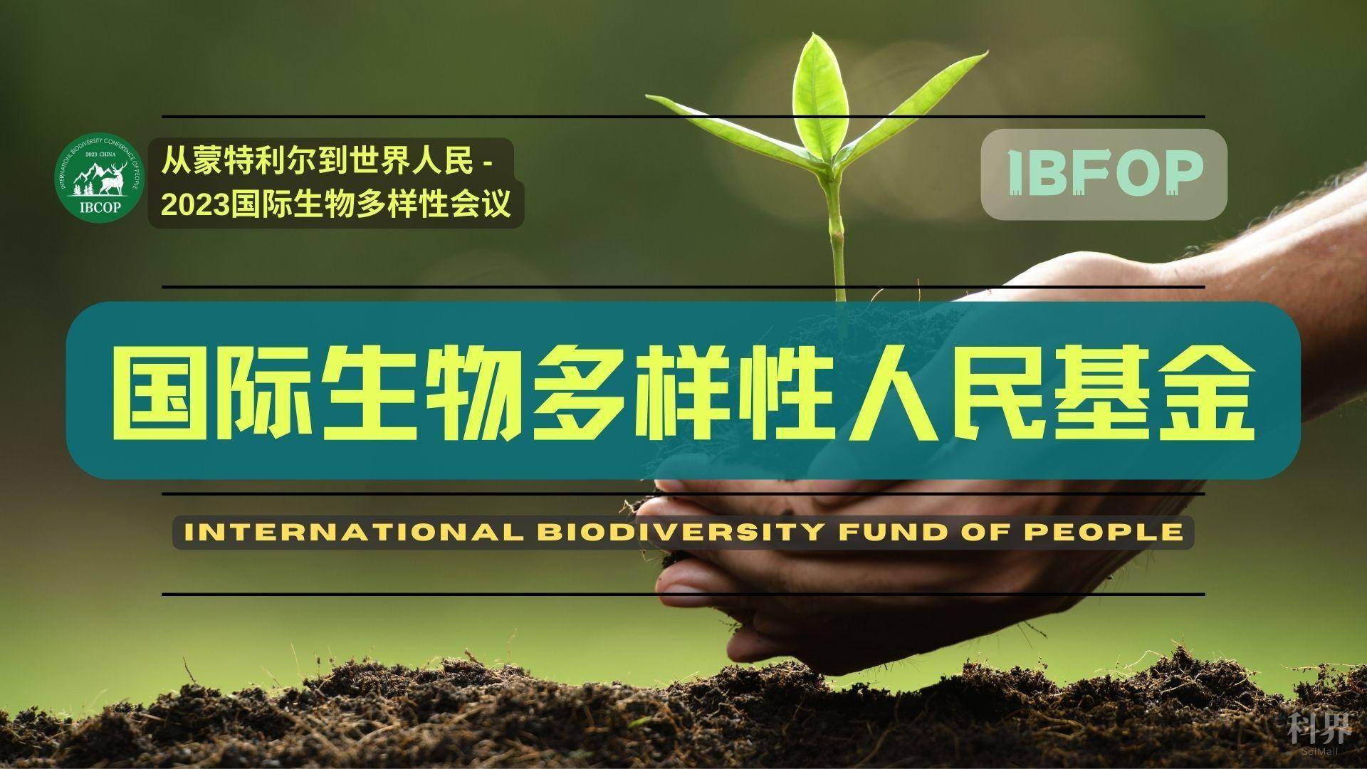 国际生物多样性人民基金（IBFOP）简介.jpg