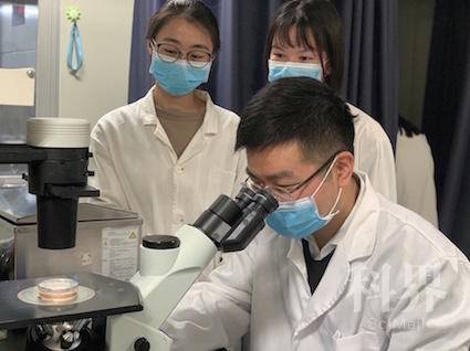 887062044.jpg 887062044.jpg