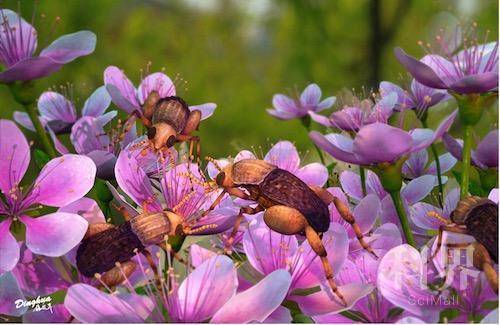 1的副本.jpg 1的副本.jpg