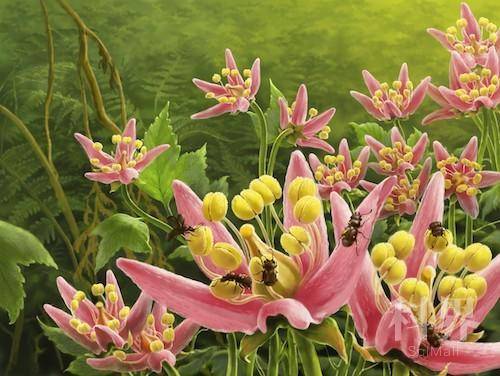 2的副本.jpeg 2的副本.jpeg