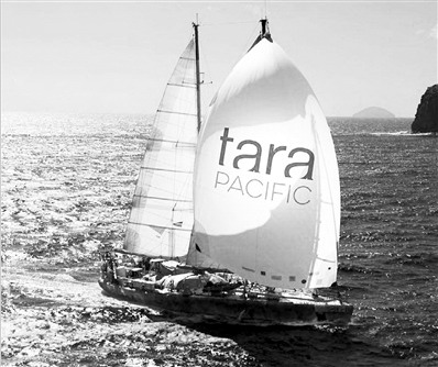 法国“塔拉”号科考帆船图片来源：塔拉科考基金会.jpg