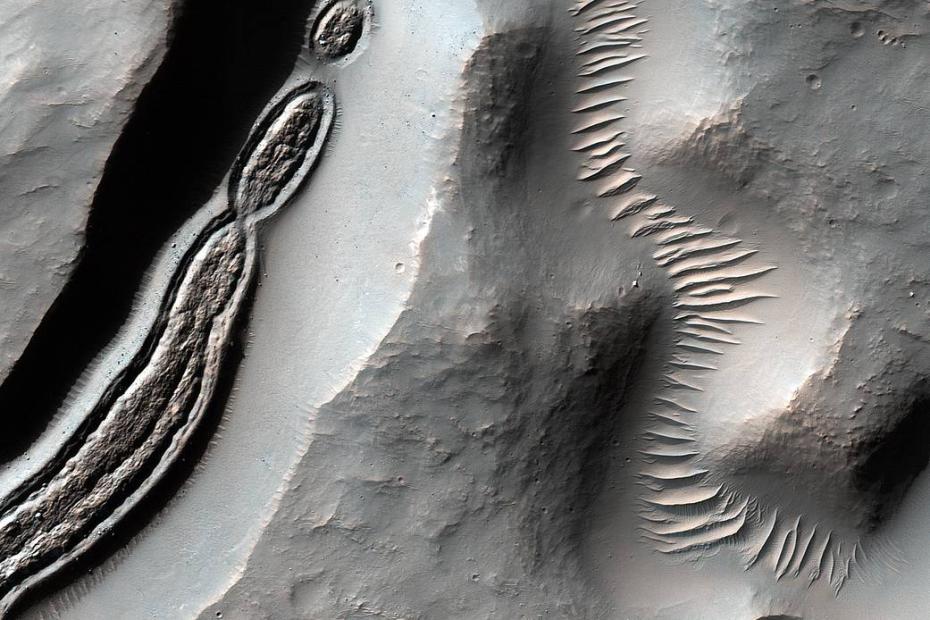 近日，NASA公布了两张火星勘测轨道飞行器（MRO）最新发回的照片。这张照片显示了火星表面奇特的纹路。.jpg