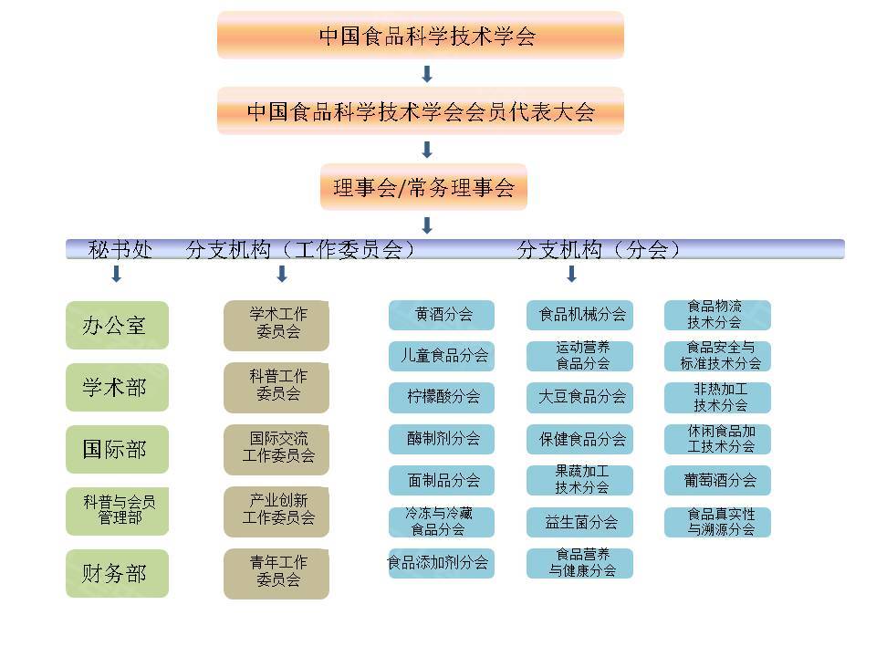 学会组织结构.jpg
