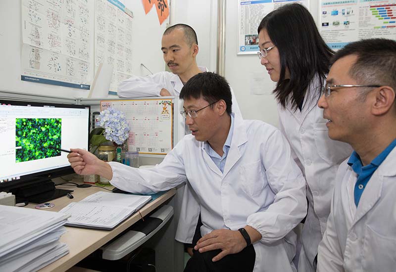 王文超、刘青松、刘静、任涛（从左至右）在实验室里讨论研究进展.jpg