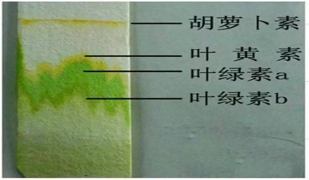科研四子登科中的“过柱子”是个啥？ 学术资讯 - 科技工作者之家
