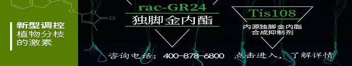 20190511161224_8a4ec1.jpg