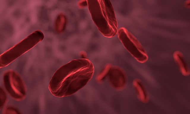 red-blood-cells-3188223_640.jpg
