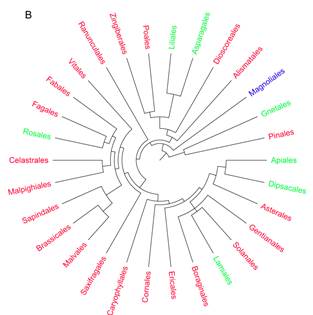 Figure 5B