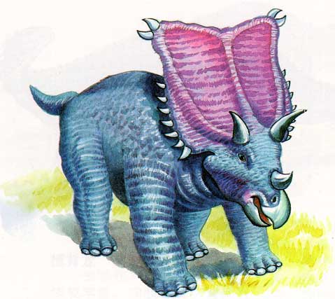 科学家最新发现彩壳鸟蛋源自恐龙