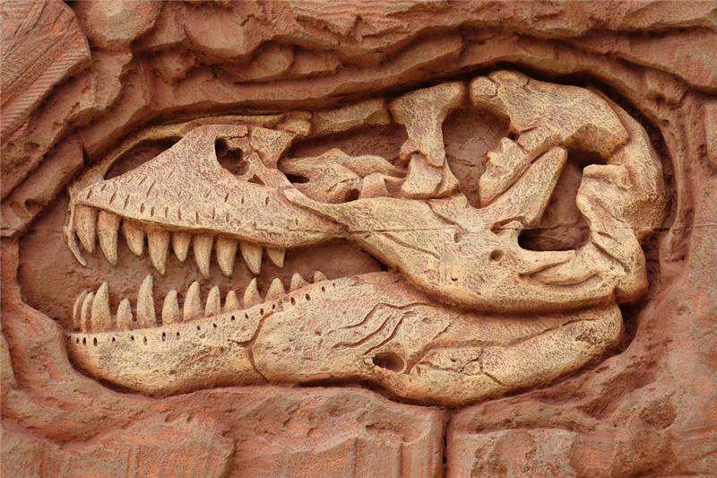 古巨蜥化石图片