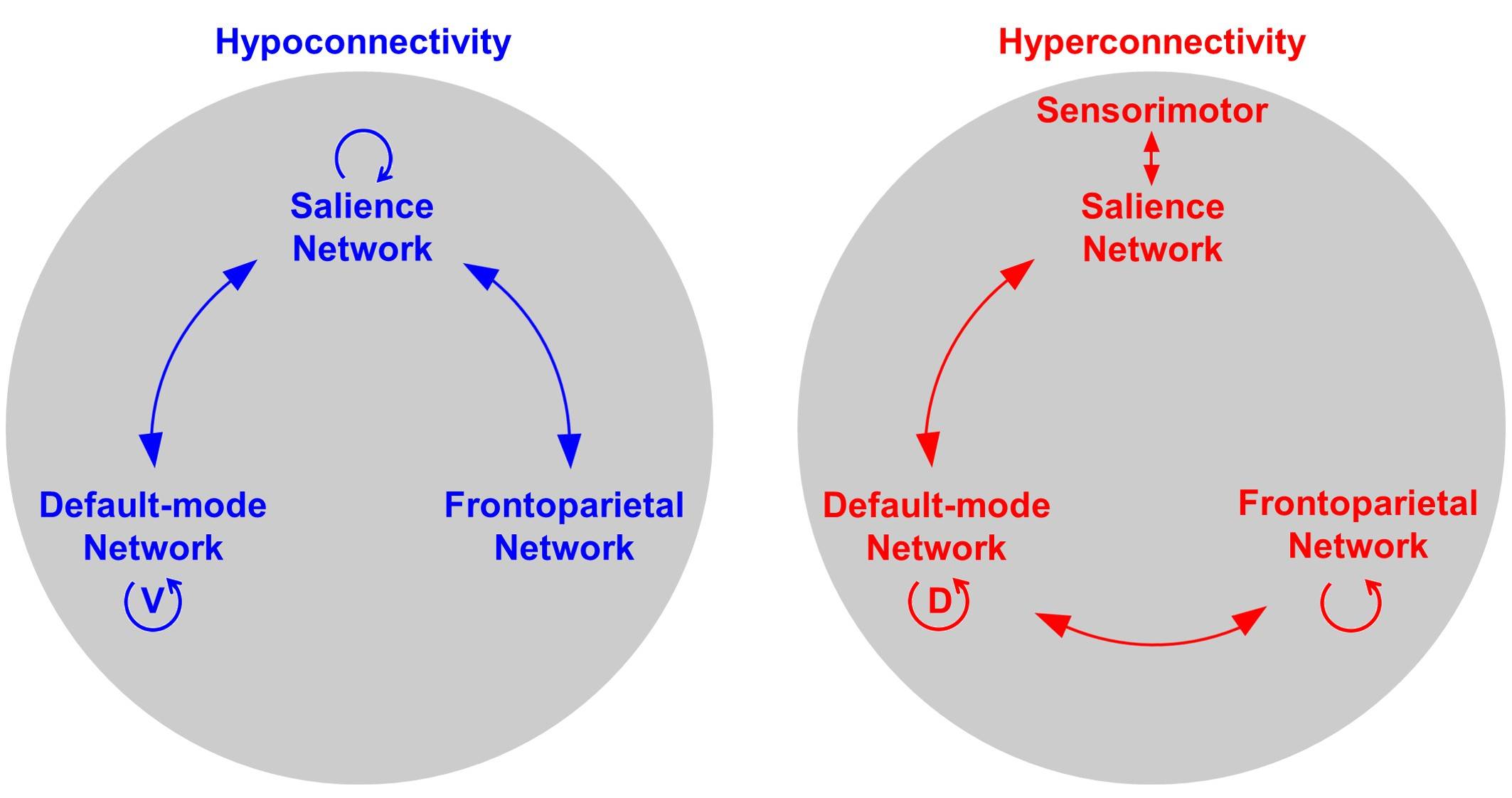 贺永课题组发表论文揭示精神疾病认知受损的脑网络机制