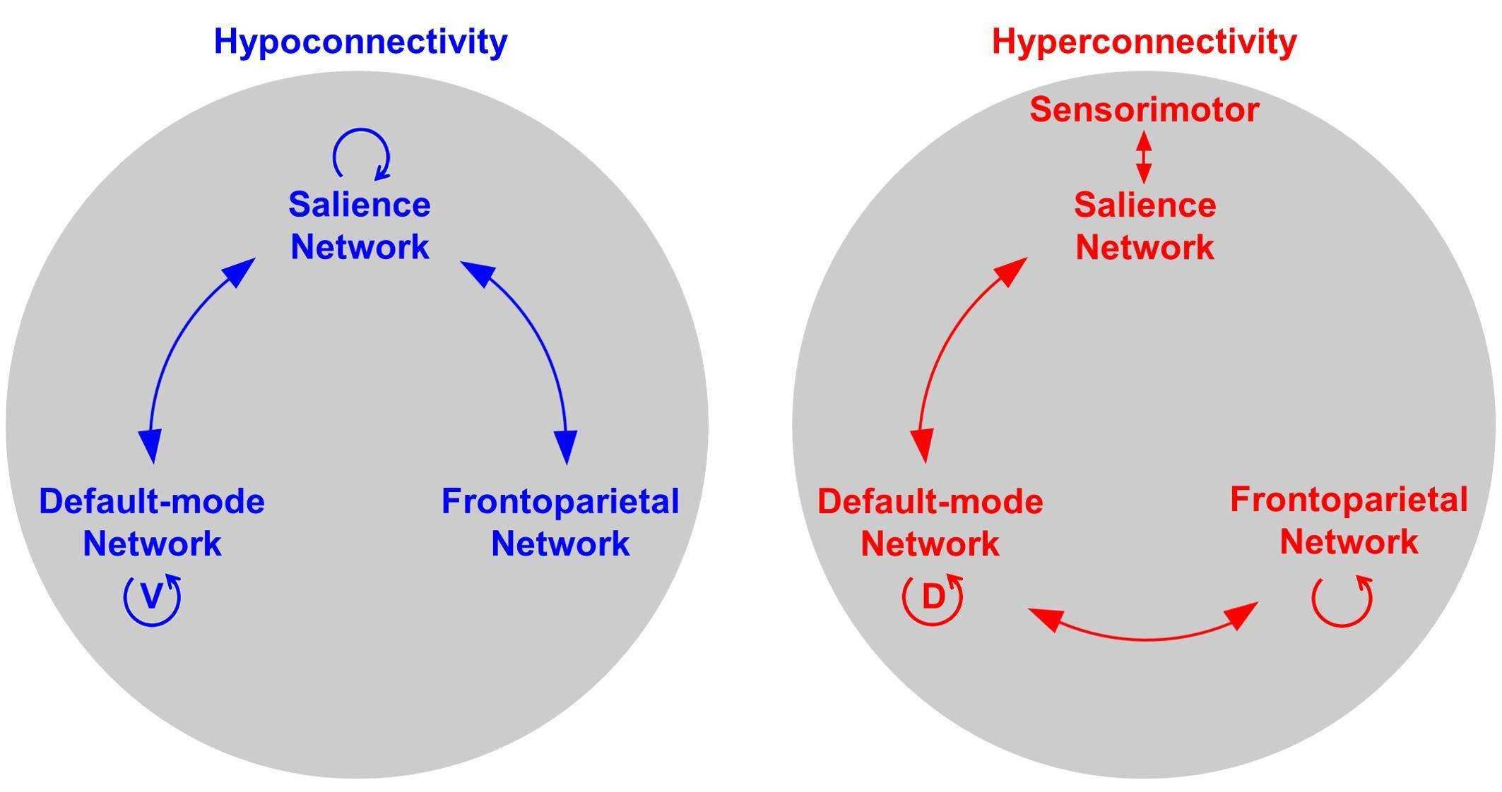 贺永课题组发表论文揭示精神疾病认知受损的脑网络机制