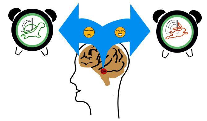 羅文波袁逖飛合作團隊發現戒斷期甲基苯丙胺成癮者時間知覺的動態變化