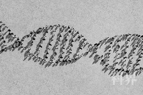 数基因突变,可判断患癌时间