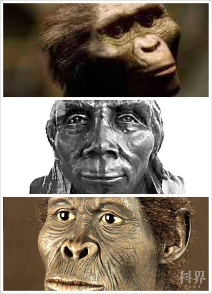 最早智人化石在摩洛哥出土