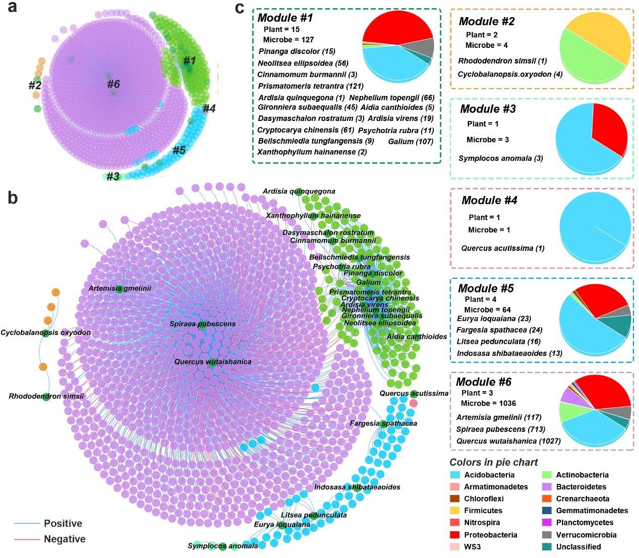 邓晔研究组在宏观和微观物种间的互作网络分析方法上取得进展