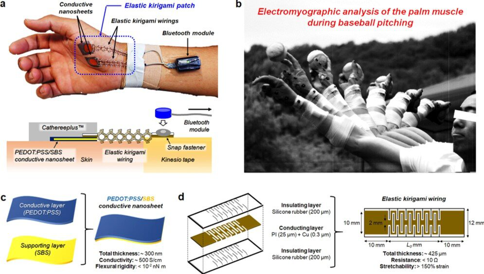 导电纳米薄片和kirigami布线系统构成,可用于获取棒球投球手的肌电图