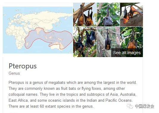 新型肺炎来袭下,网友晒的吃蝙蝠大餐"火"了