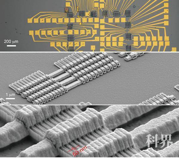 可阵列化的单原子层鳍式晶体管形貌图(阵列最小间距为50纳米.