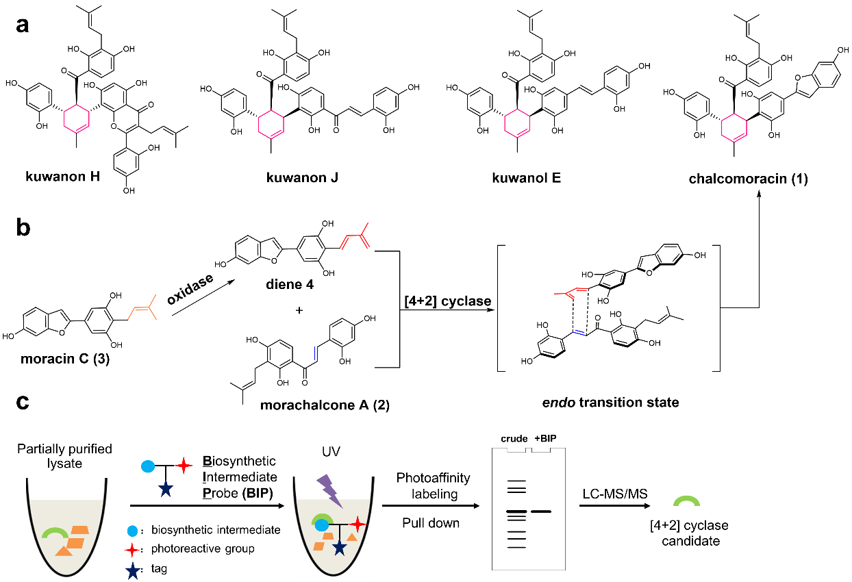 wt_a22322000604160456_874b47.jpg