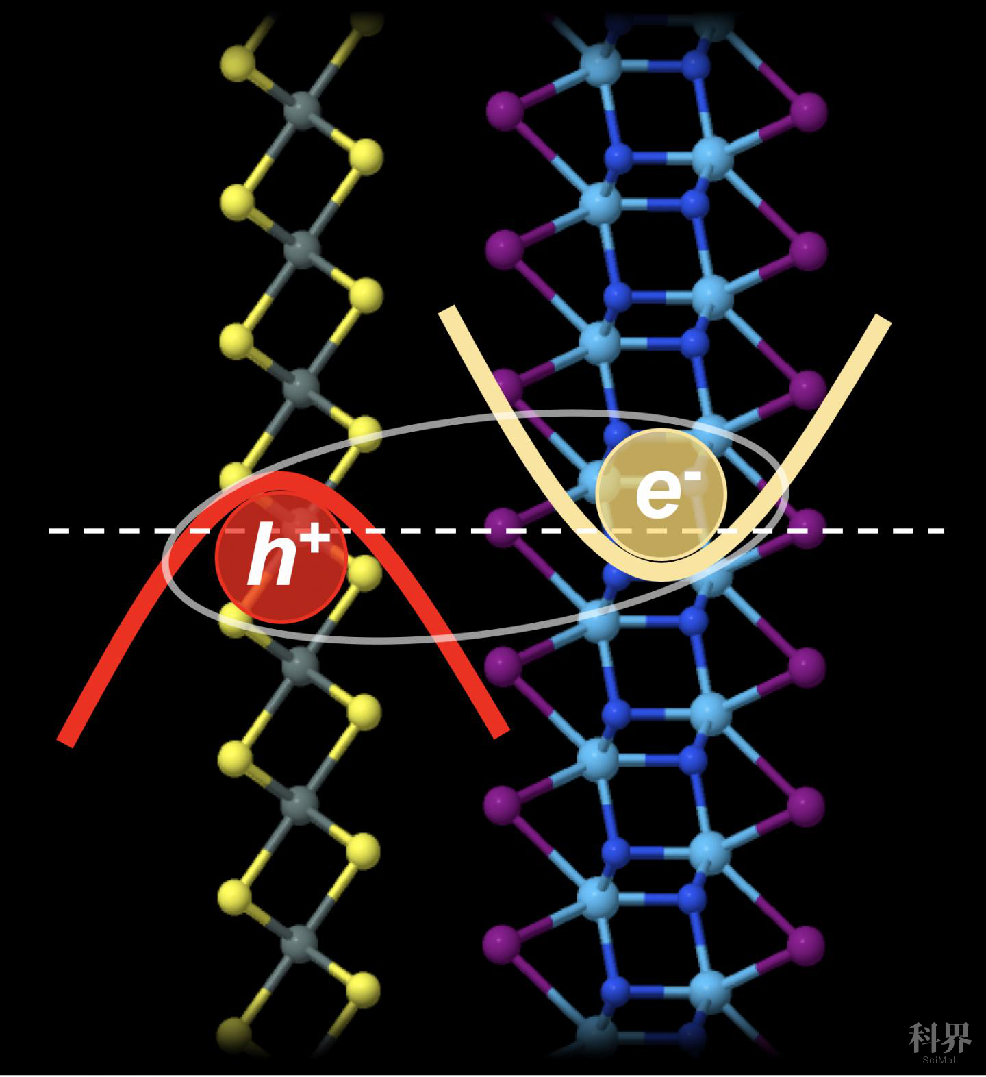 wt_a223965408.png