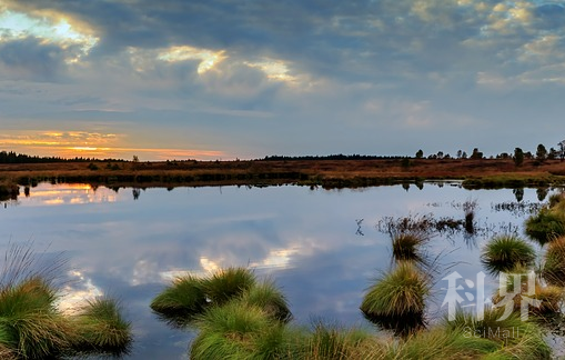 最新调查显示三江源国家公园分布植物种类2种学术资讯 科界