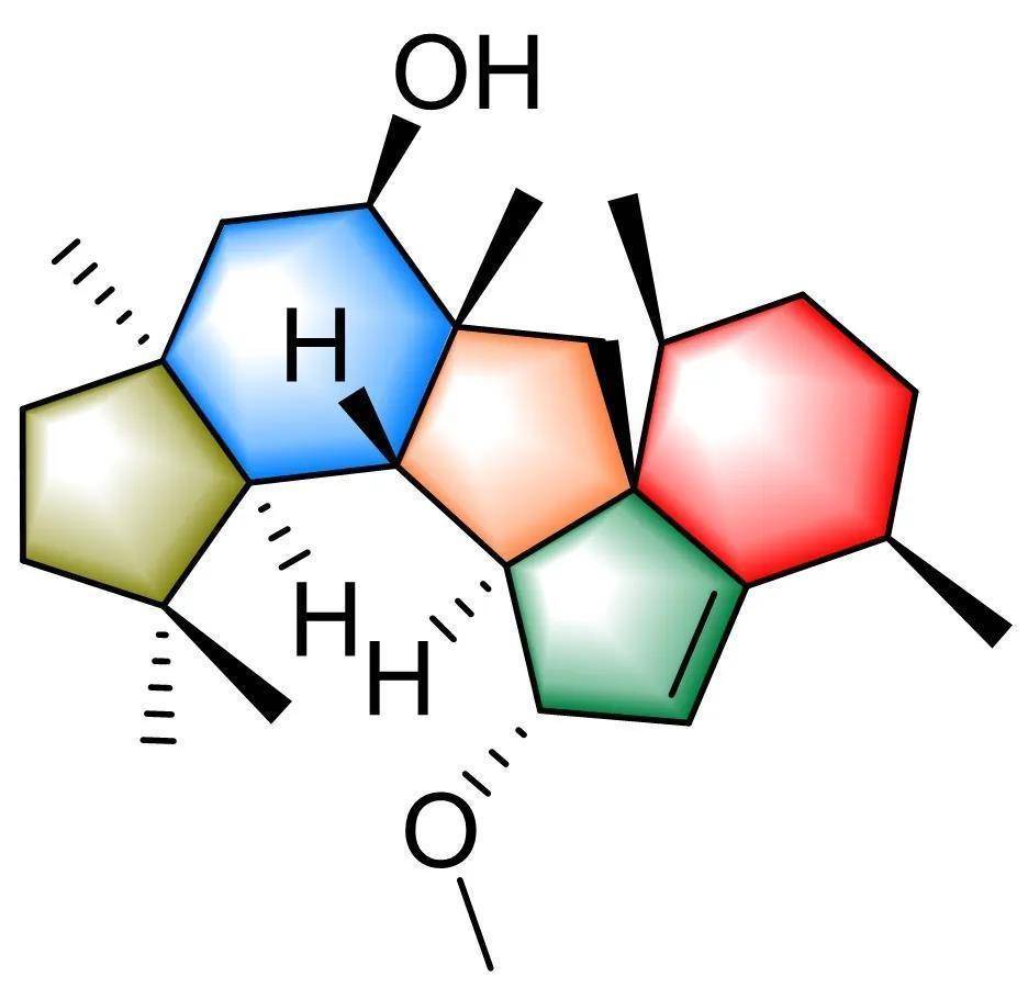 云南大学丁中涛团队:娄地青霉中新颖二倍半萜的发现
