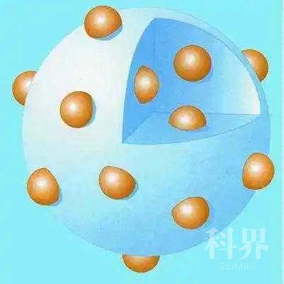 wt_a42631a66d.