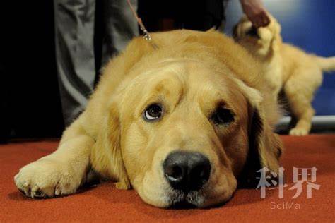 See the source image