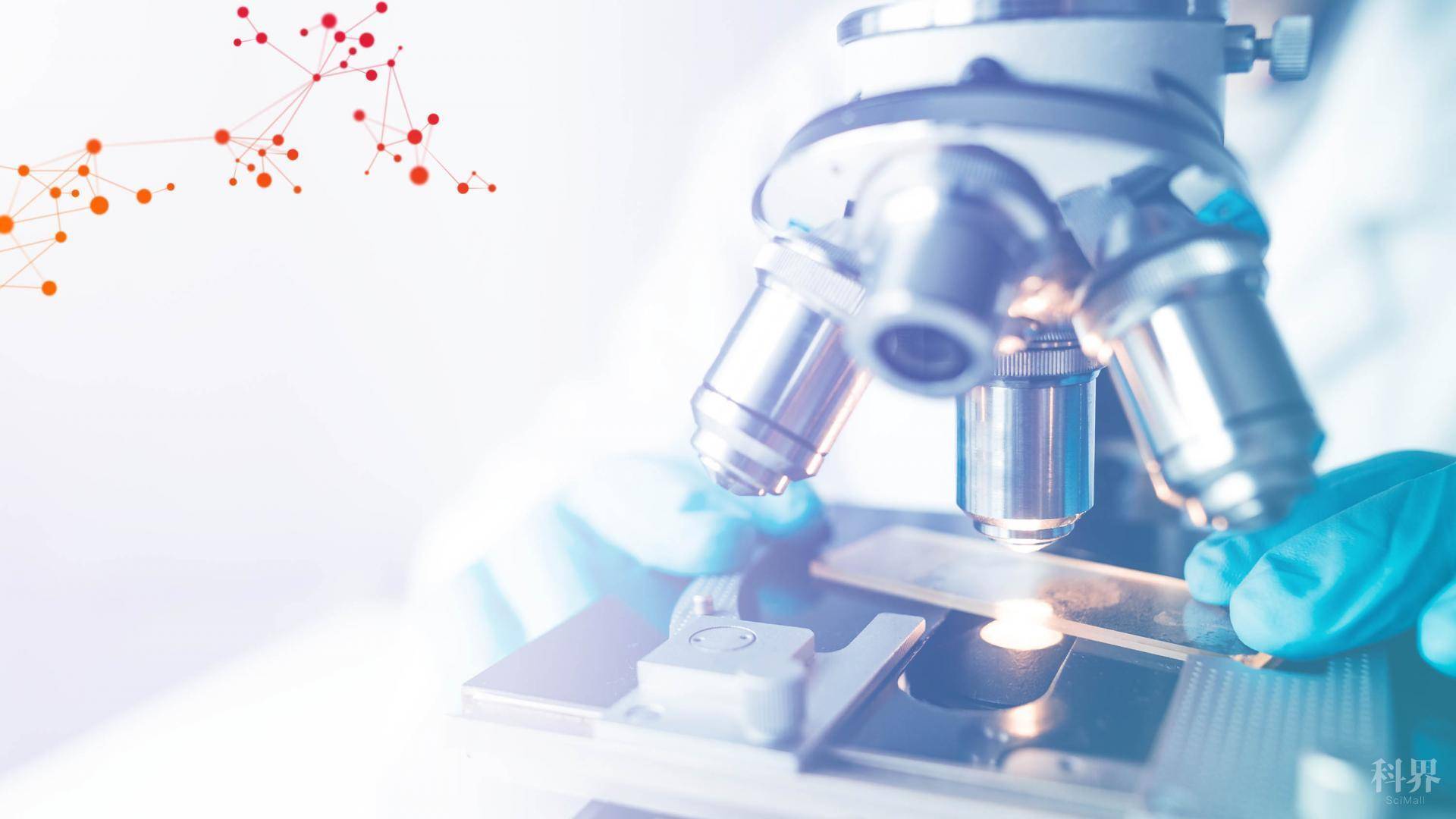 营造风清气正的科研环境