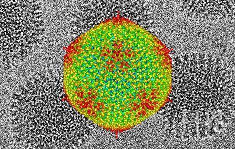 See the source image