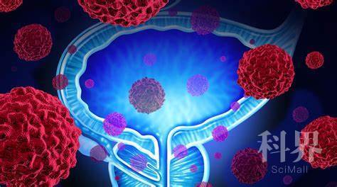 See the source image