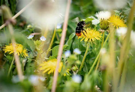 See the source image