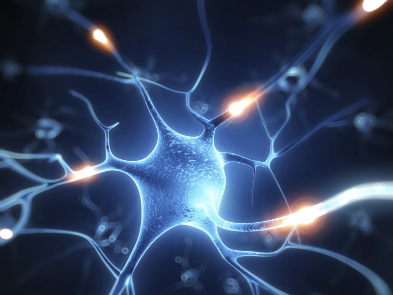 See the source image