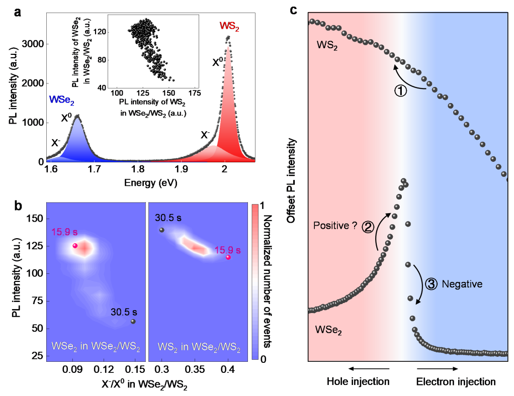 二维半导体异质结中界面电荷转移导致的极性跳跃现象