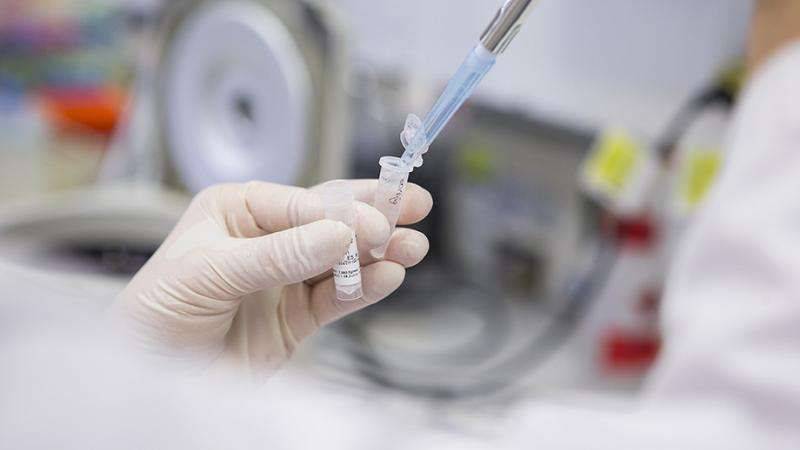 研究证实儿童白血病治疗可降低化疗剂量.jpg