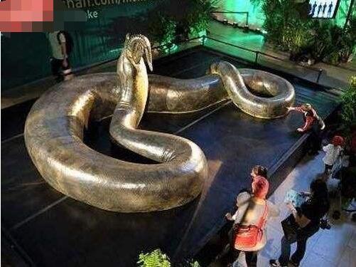 蛇灭绝了世界会怎样图片