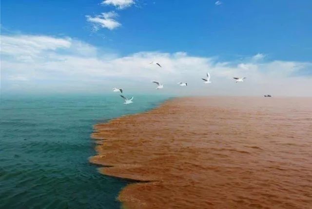 黄河入海口分界线图片图片